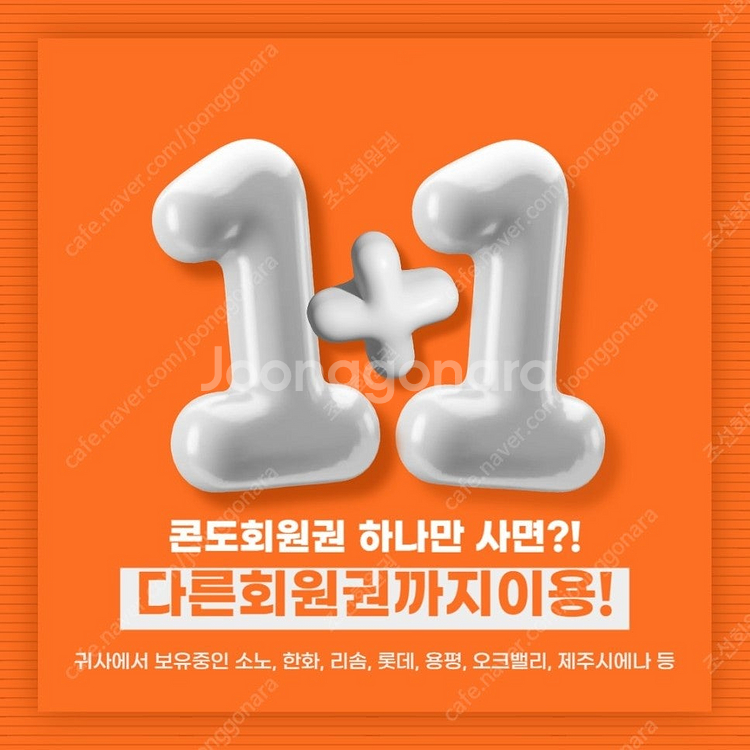 리솜리조트 제천,안면도,덕산 18,24, 28, 36,...--2