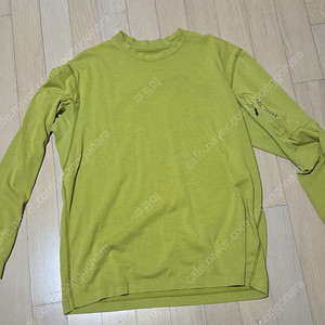 아크테릭스 copal long sleeve big bird
