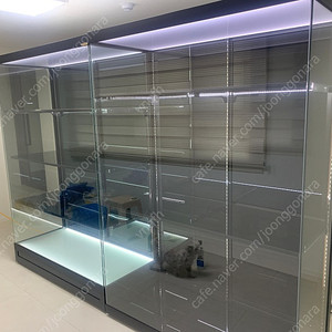 삽니다) 마이뮤지엄 7001 풀확장 삽니다