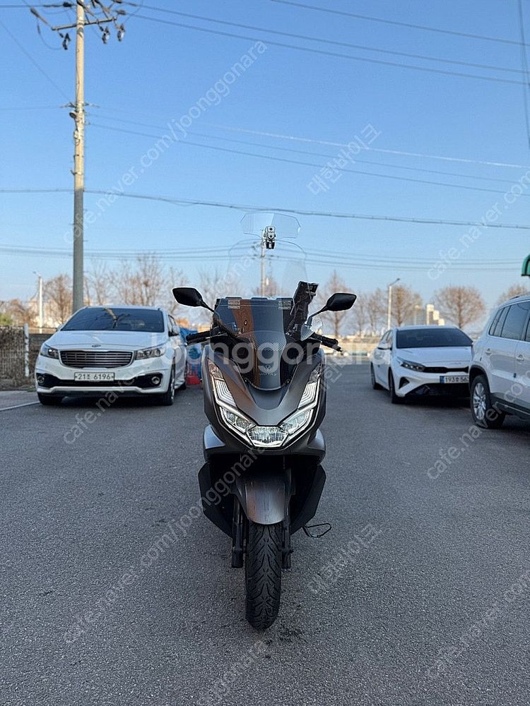 [점검완료]혼다 PCX125 ABS 23년식 배달대행세...--1