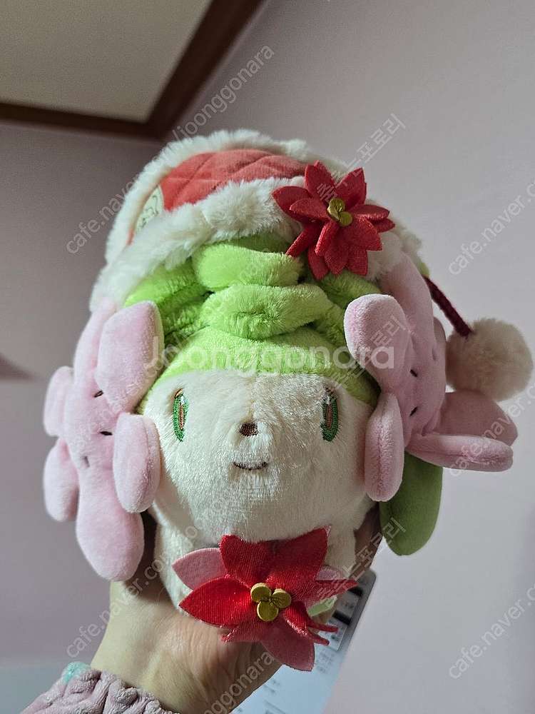[포켓몬센터 정품/안전결제] 크리스마스 한정 피카츄, ...--0