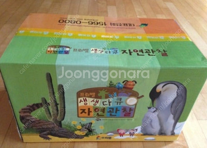 생생다큐 자연관찰--0