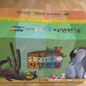 생생다큐 자연관찰