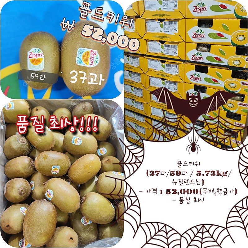 골드키위,망고 수입과일 가락시장 직송!!!--0