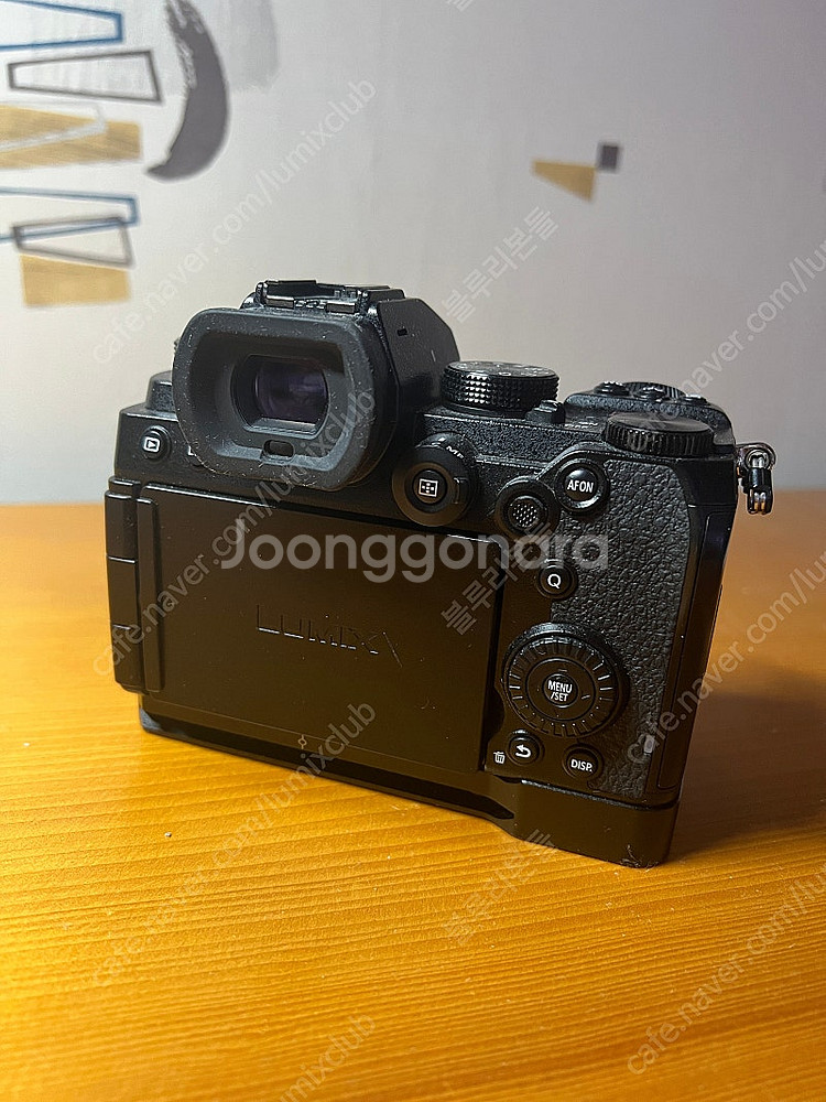 파나소닉 루믹스 S5 / Panasonic Lumix ...--0