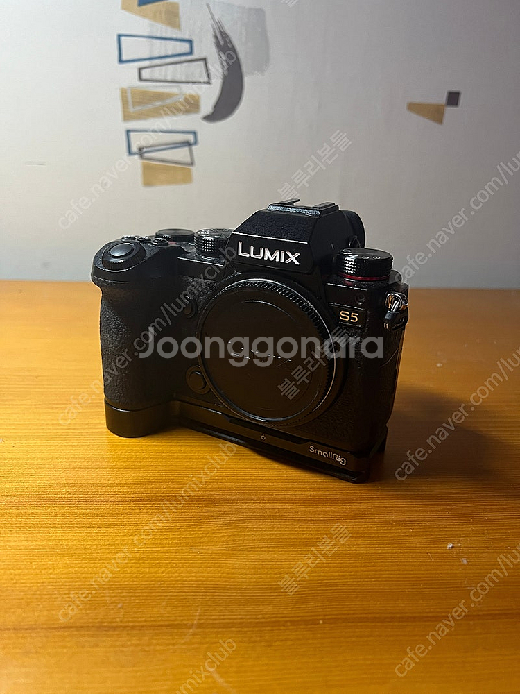 파나소닉 루믹스 S5 / Panasonic Lumix ...--1