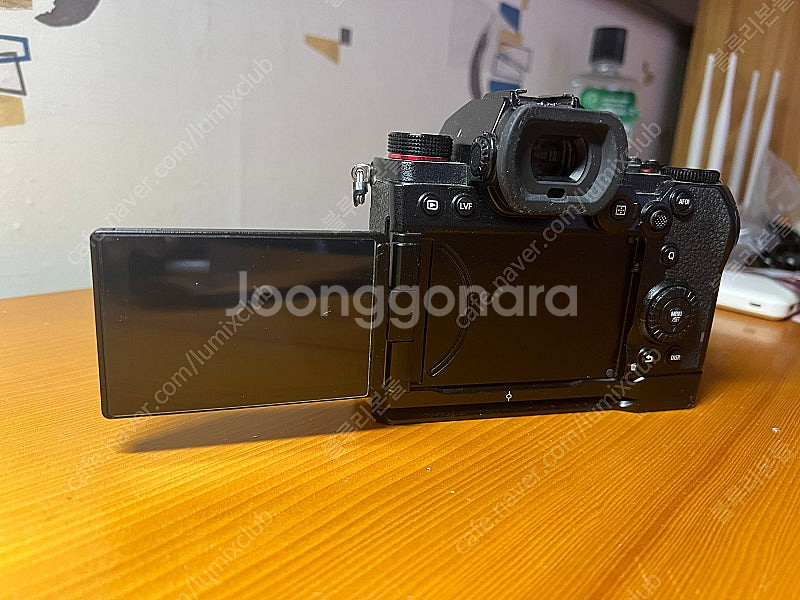 파나소닉 루믹스 S5 / Panasonic Lumix ...--2