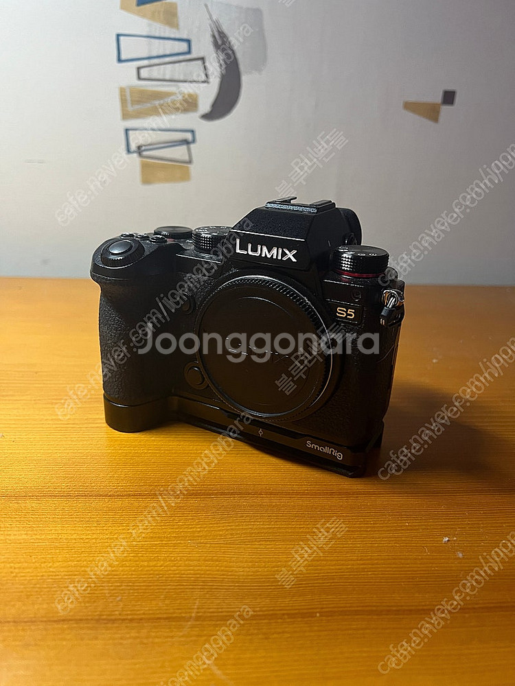 파나소닉 루믹스 S5 / Panasonic Lumix ...--4