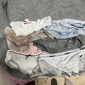 팬티