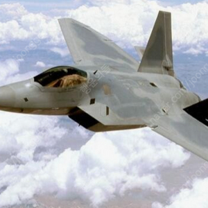 (구합니다.) F-22 랩터 전투기 다이캐스트 구합니다.