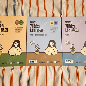 EBS 윤혜정 개념의 나비효과