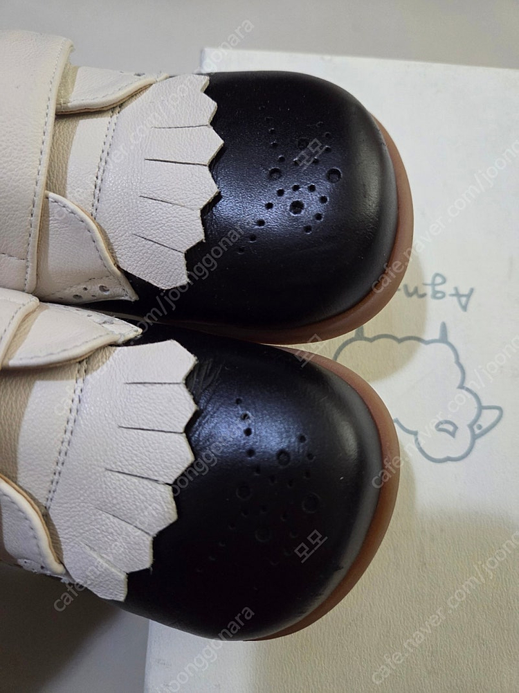 앙뉴 구두 이미지