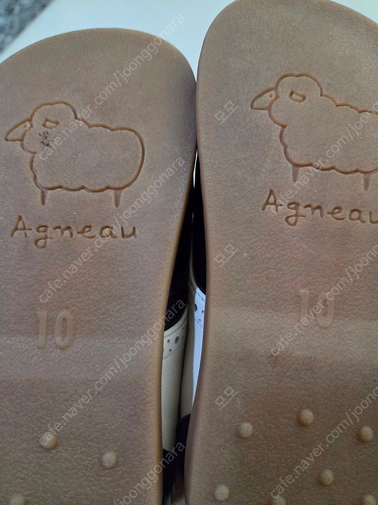 앙뉴 구두 이미지