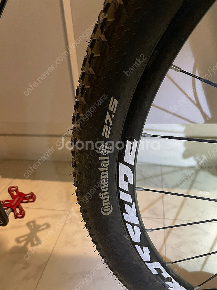 탈레스 XC MTB--5