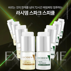 라시뎀 스피큘