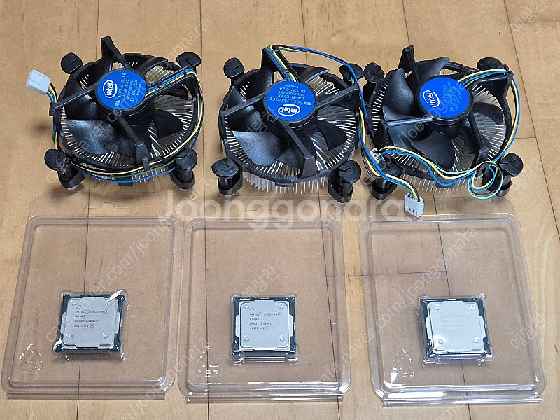 셀러론 G5905 + 정품쿨러 3세트 일괄--1