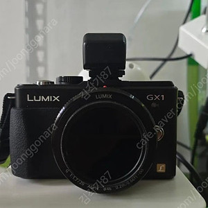 파나소닉 GX1 및 LVF1 뷰파인더