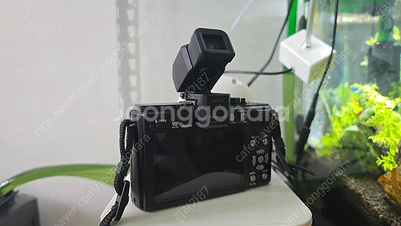 파나소닉 GX1 및 LVF1 뷰파인더--3
