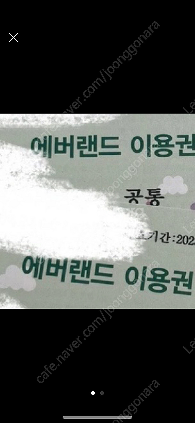 에버랜드 자유이용권--0