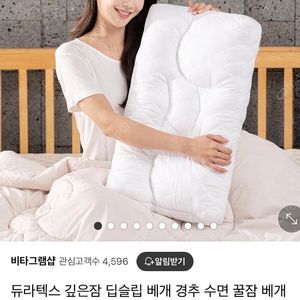 듀라텍스 딥슬림베개