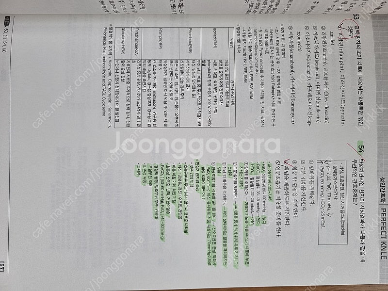 에듀퍼스트 빨노파 2025--1