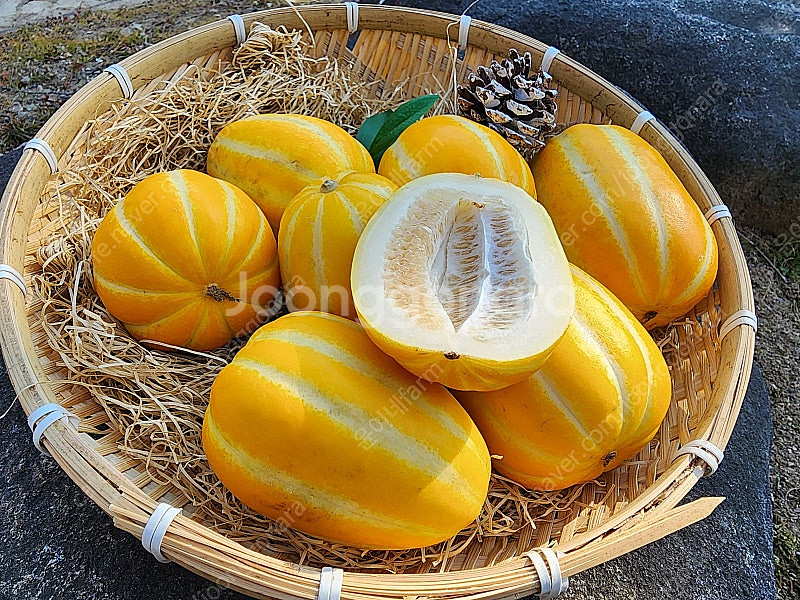 마트보다저렴! 못난이 성주 참외 5kg 29,900--1