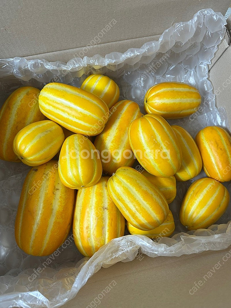 마트보다저렴! 못난이 성주 참외 5kg 29,900--2