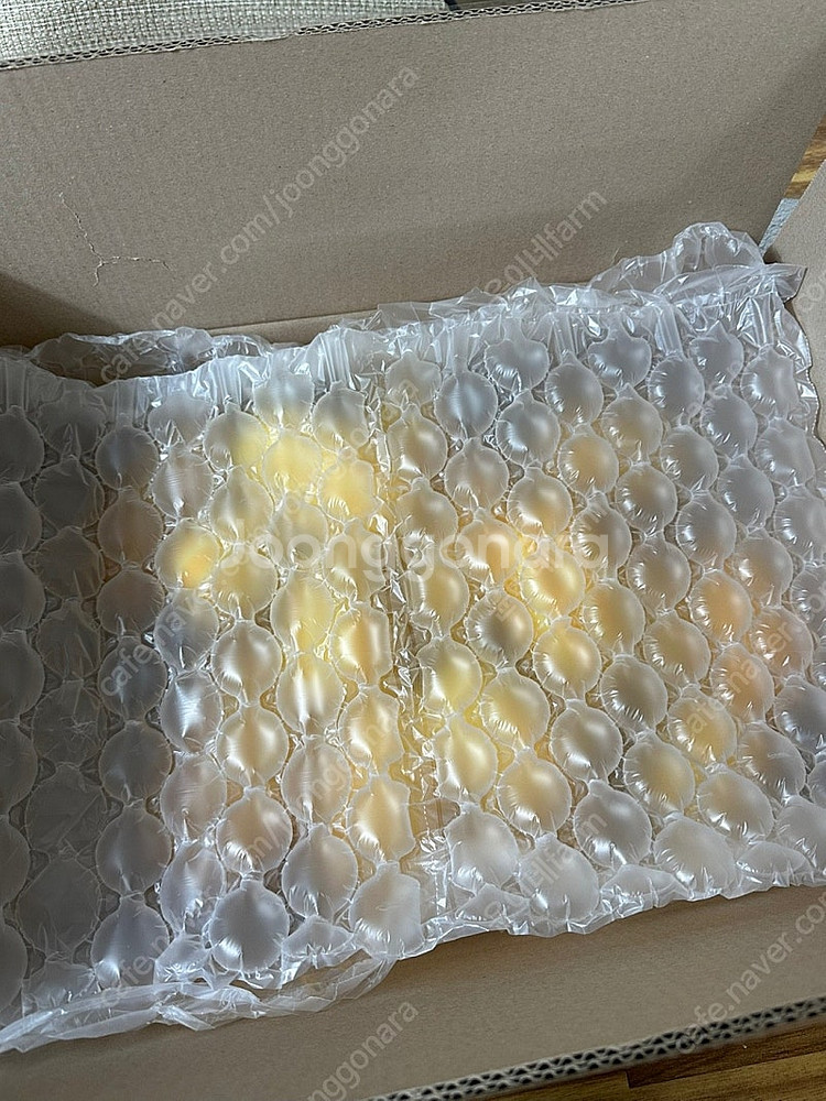 마트보다저렴! 못난이 성주 참외 5kg 29,900--3