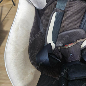콤비 크래들링 360 회전형 카시트 ISOFIX 베이지 중고 갱수네 아기 신생아 유아 360도 COMBI