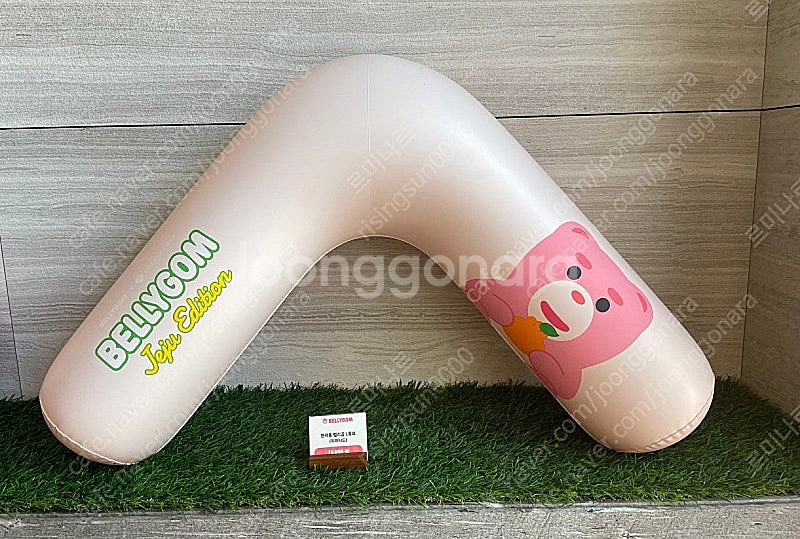 제주 롯데호텔 라온 벨리곰 튜브--0