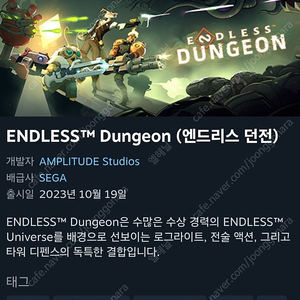 엔드리스 던전 MainFrames & ENDLESS Dungeon 스팀키 판매합니다