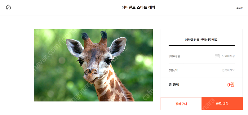 에버랜드 로스트밸리 스페셜투어 팝니다 ( 4/20일)--0