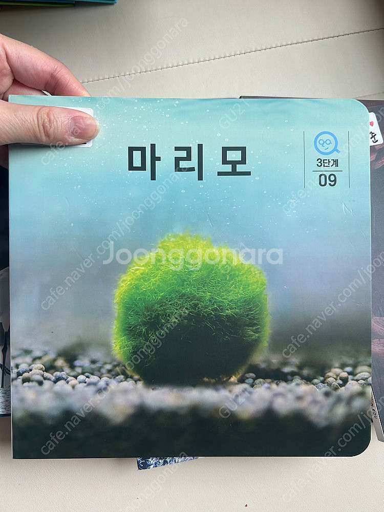 [택포]튼튼영어라트주니어 과학플랩북 탈무드전집 포함 일...--7