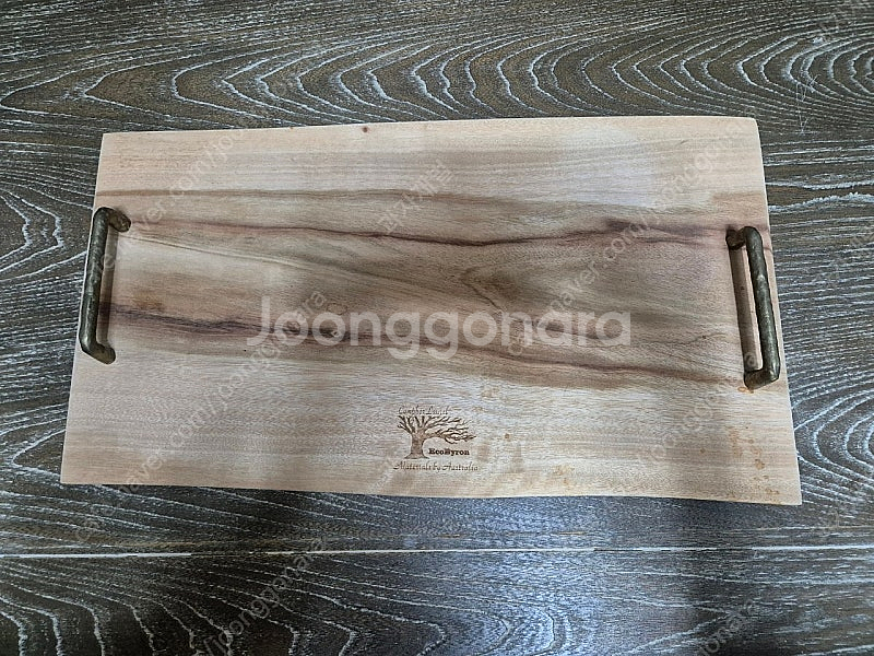 에코바이런 도마--0
