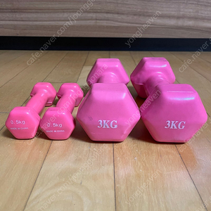 아령 3kg 2개/0.5kg 2개 (일괄15,000원)