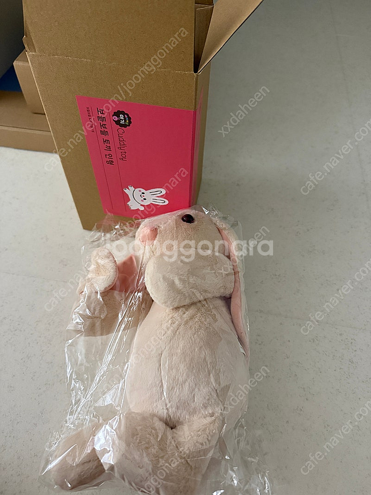 베이비올 보들보들 토끼인형--0