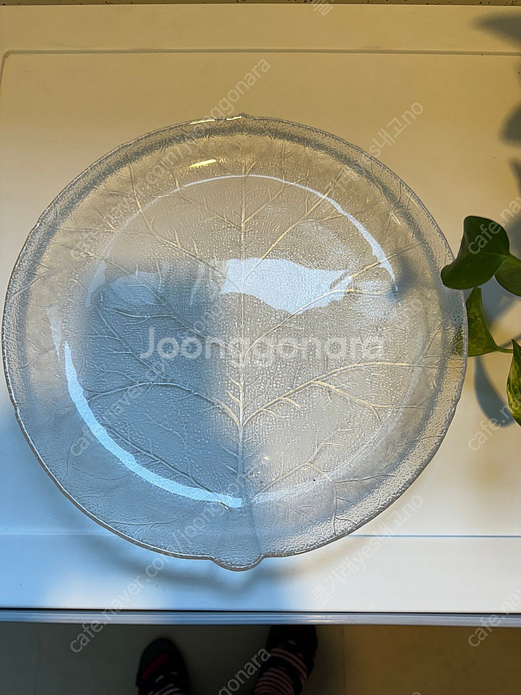 투명유리 나뭇잎접시 28cm 새제품 원 음식 올리면 넘...--0