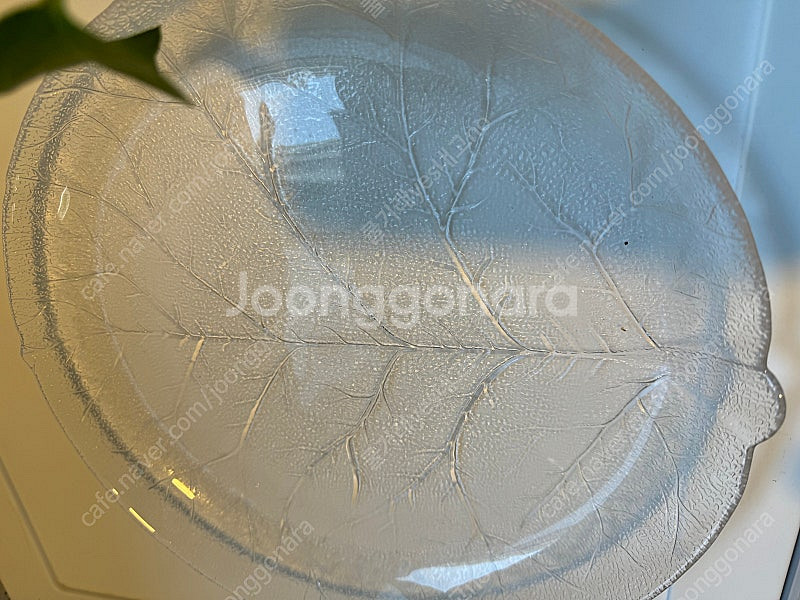 투명유리 나뭇잎접시 28cm 새제품 원 음식 올리면 넘...--2