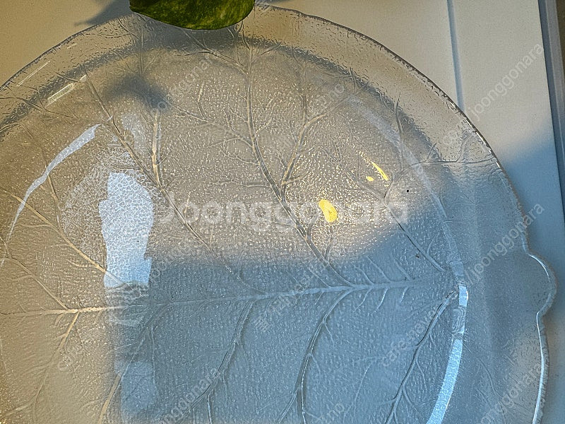 투명유리 나뭇잎접시 28cm 새제품 원 음식 올리면 넘...--4