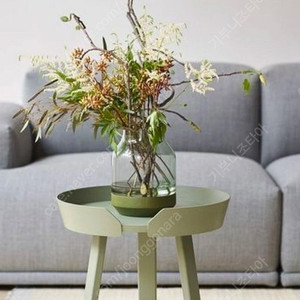 무토 어라운드 소파테이블 Dusty Green (새제품)