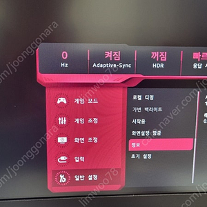 LG울트라기어 38GN950 모니터
