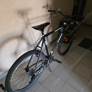 브리스톨펫 ATB 판매합니다.