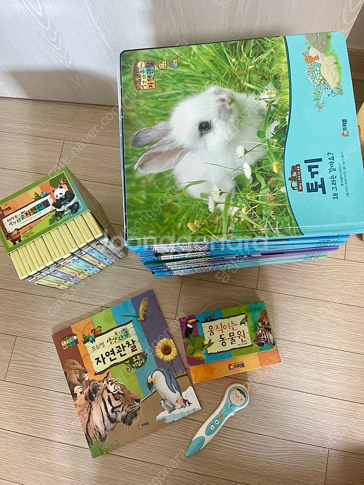 프뢰벨 자연관찰전집+씽킹펜 (별도)+DVD+움직이는 동...--1