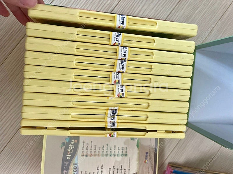 프뢰벨 자연관찰전집+씽킹펜 (별도)+DVD+움직이는 동...--2