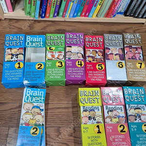 brain quest 12팩