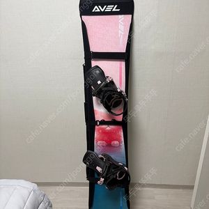 2425 아벨(에이벨)AVEL 카본 155 젤리캣 (엣지백 포함)