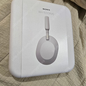 SONY XM5 실버 새제품