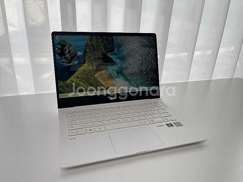 LG전자 그램 13인치 13ZD980-GX50K (SS...--1