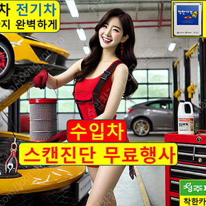 가볼만한곳 수입차 정비 코딩까지 스캔진단무료 청주 착한카 추천 맛집 애견동반 아기랑 부모님 겨울 여름 봄 가을 카페 어린이 아이와 근교 실내 데이트 드라이브 나들이 여행 피크닉 갈