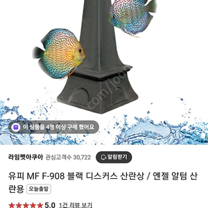 디스커스/엔젤용 산란상 판매